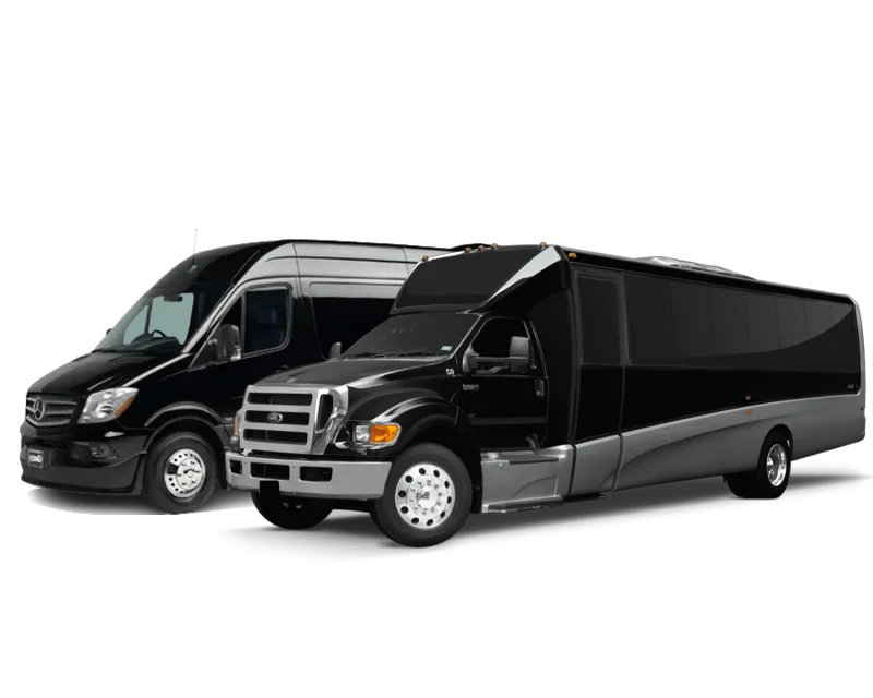 Party Bus luxury car